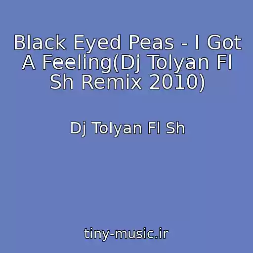 کاور آهنگ Black Eyed Peas - I Got A Feeling(Dj Tolyan Fl Sh Remix 2010) از Dj Tolyan Fl Sh