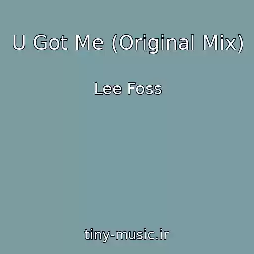کاور آهنگ U Got Me (Original Mix) از Lee Foss