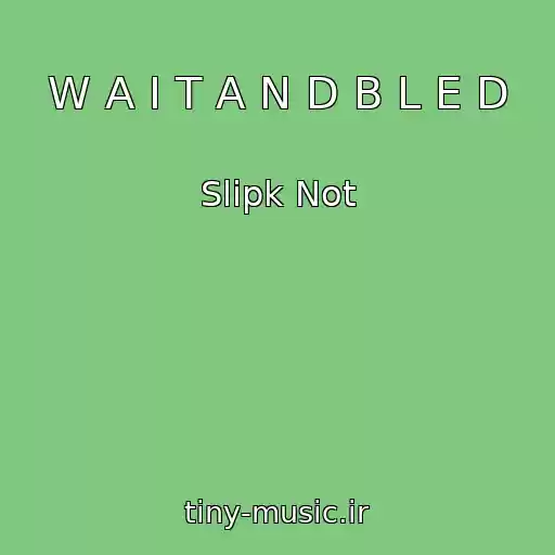 کاور آهنگ W A I T A N D B L E D از Slipk Not