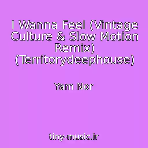 کاور آهنگ I Wanna Feel (Vintage Culture & Slow Motion Remix) (Territorydeephouse) از Yam Nor