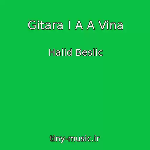 کاور آهنگ Gitara I A A Vina از Halid Beslic