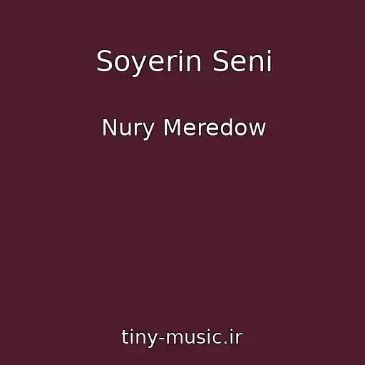کاور آهنگ Soyerin Seni از Nury Meredow