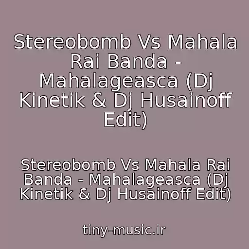 کاور آهنگ Stereobomb Vs Mahala Rai Banda - Mahalageasca (Dj Kinetik & Dj Husainoff Edit) از Stereobomb Vs Mahala Rai Banda - Mahalageasca (Dj Kinetik & Dj Husainoff Edit)