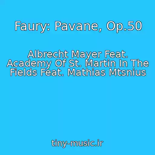کاور آهنگ Faury: Pavane, Op.50 از Albrecht Mayer Feat. Academy Of St. Martin In The Fields Feat. Mathias Mtsnius