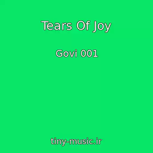 کاور آهنگ Tears Of Joy از Govi 001