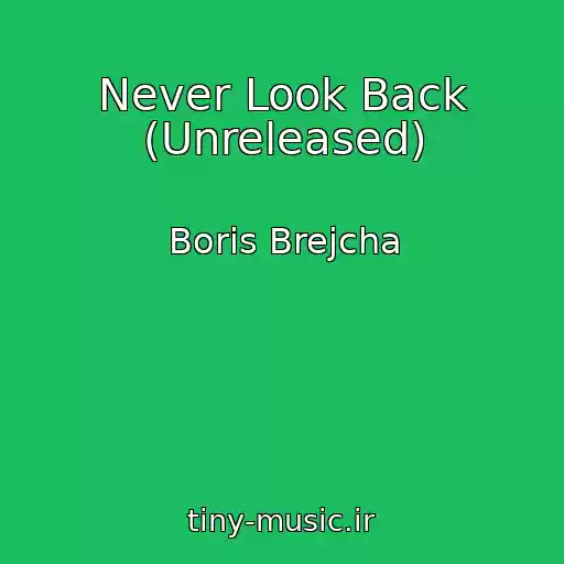 کاور آهنگ Never Look Back (Unreleased) از Boris Brejcha