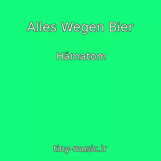کاور آهنگ Alles Wegen Bier از Hämatom