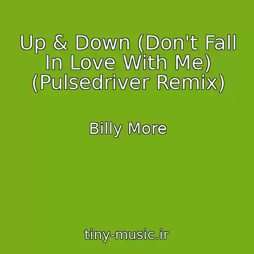 کاور آهنگ Up & Down (Don't Fall In Love With Me) (Pulsedriver Remix) از Billy More
