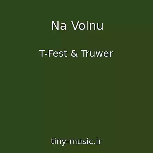 کاور آهنگ Na Volnu از T-Fest & Truwer