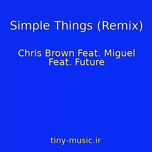 کاور آهنگ Simple Things (Remix) از Chris Brown Feat. Miguel Feat. Future