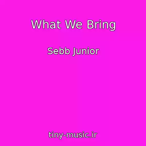 کاور آهنگ What We Bring از Sebb Junior