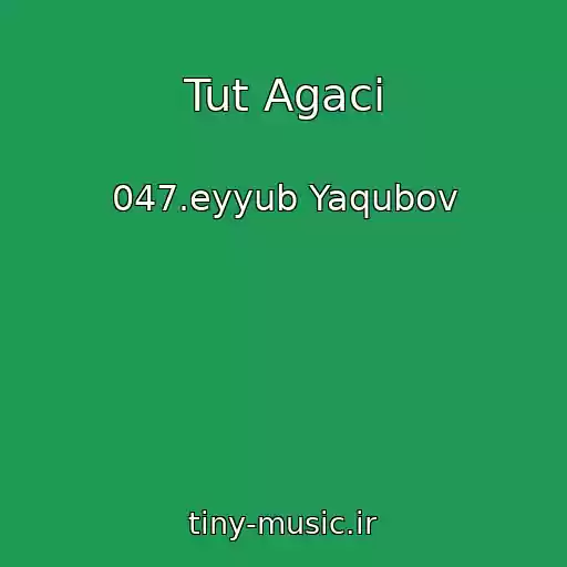 کاور آهنگ Tut Agaci از 047.eyyub Yaqubov