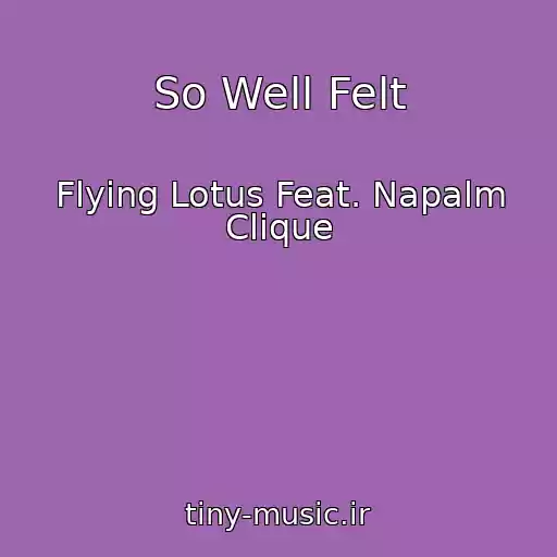 کاور آهنگ So Well Felt از Flying Lotus Feat. Napalm Clique