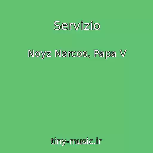 کاور آهنگ Servizio از Noyz Narcos, Papa V