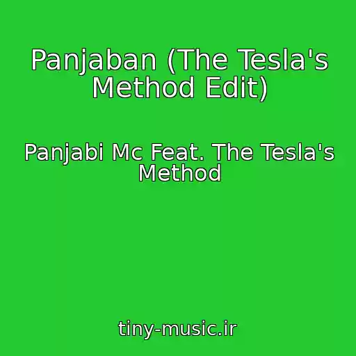 کاور آهنگ Panjaban (The Tesla's Method Edit) از Panjabi Mc Feat. The Tesla's Method