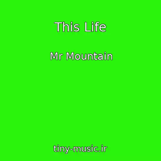 کاور آهنگ This Life از Mr Mountain