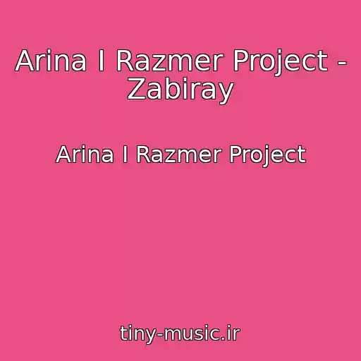 کاور آهنگ Arina I Razmer Project - Zabiray از Arina I Razmer Project