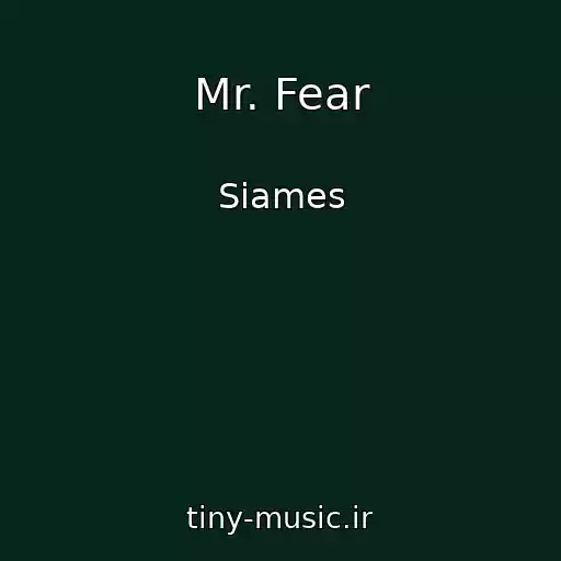 کاور آهنگ Mr. Fear از Siames