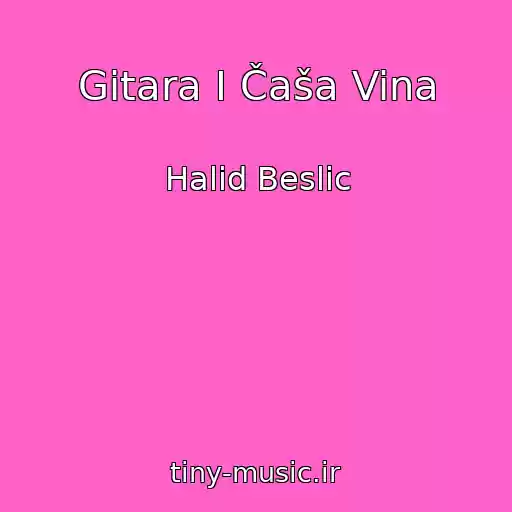 کاور آهنگ Gitara I Čaša Vina از Halid Beslic