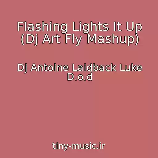 کاور آهنگ Flashing Lights It Up (Dj Art Fly Mashup) از Dj Antoine Laidback Luke D.o.d