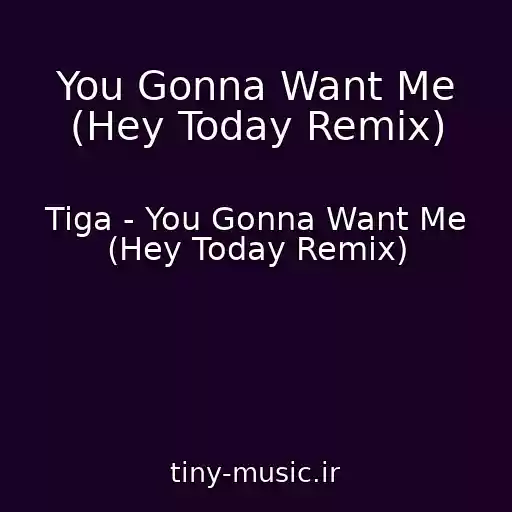 کاور آهنگ You Gonna Want Me (Hey Today Remix) از Tiga - You Gonna Want Me (Hey Today Remix)