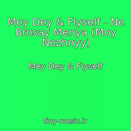 کاور آهنگ Mey Dey & Flyself - Ne Brosay Menya (Moy Nezhnyy) از Mey Dey & Flyself