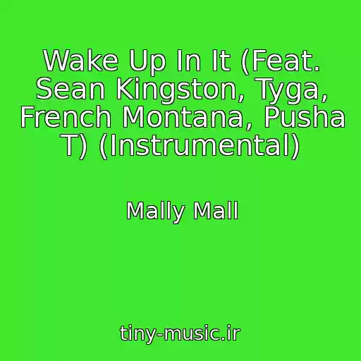 کاور آهنگ Wake Up In It (Feat. Sean Kingston, Tyga, French Montana, Pusha T) (Instrumental) از Mally Mall