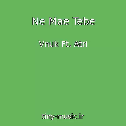 کاور آهنگ Ne Mae Tebe از Vnuk Ft. Atri