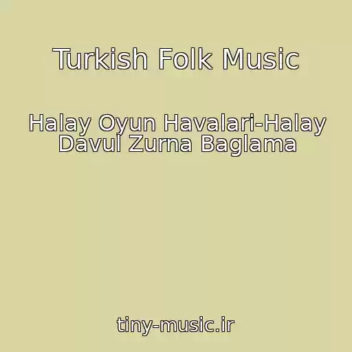 کاور آهنگ Turkish Folk Music از Halay Oyun Havalari-Halay Davul Zurna Baglama
