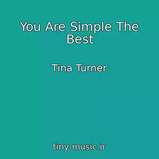 کاور آهنگ You Are Simple The Best از Tina Turner