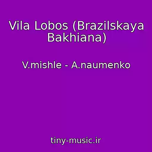 کاور آهنگ Vila Lobos (Brazilskaya Bakhiana) از V.mishle - A.naumenko