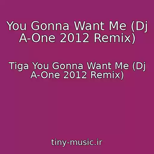 کاور آهنگ You Gonna Want Me (Dj A-One 2012 Remix) از Tiga You Gonna Want Me (Dj A-One 2012 Remix)