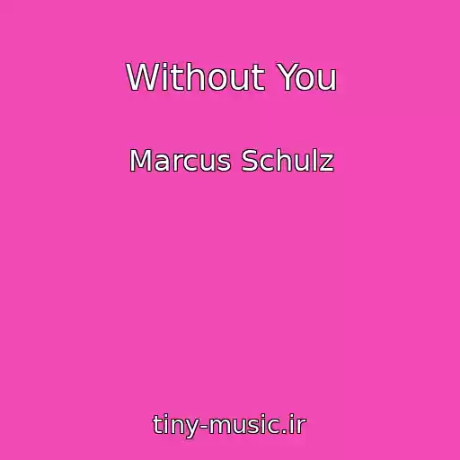 کاور آهنگ Without You از Marcus Schulz