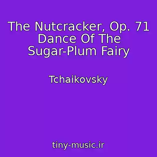 کاور آهنگ The Nutcracker, Op. 71 Dance Of The Sugar-Plum Fairy از Tchaikovsky