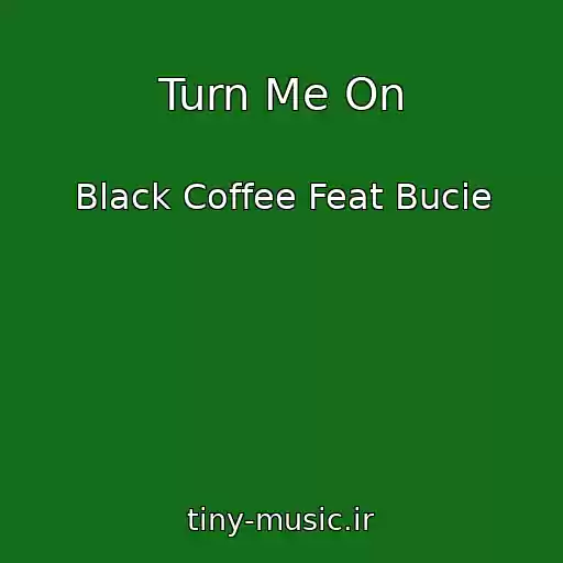 کاور آهنگ Turn Me On از Black Coffee Feat Bucie