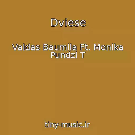 کاور آهنگ Dviese از Vaidas Baumila Ft. Monika Pundzi T