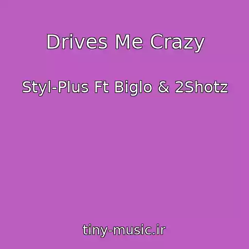 کاور آهنگ Drives Me Crazy از Styl-Plus Ft Biglo & 2Shotz