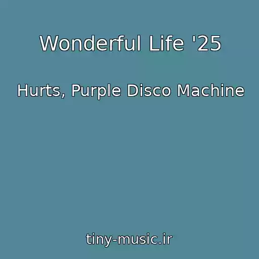 کاور آهنگ Wonderful Life '25 از Hurts, Purple Disco Machine
