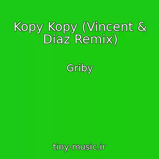 کاور آهنگ Kopy Kopy (Vincent & Diaz Remix) از Griby
