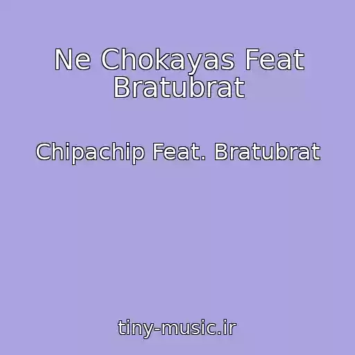 کاور آهنگ Ne Chokayas Feat Bratubrat از Chipachip Feat. Bratubrat