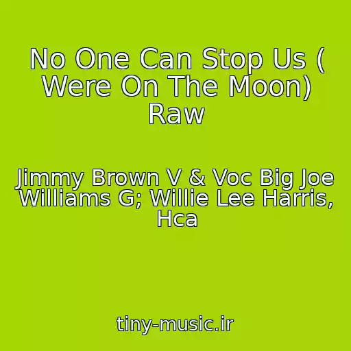 کاور آهنگ No One Can Stop Us ( Were On The Moon) Raw از Jimmy Brown V & Voc Big Joe Williams G; Willie Lee Harris, Hca