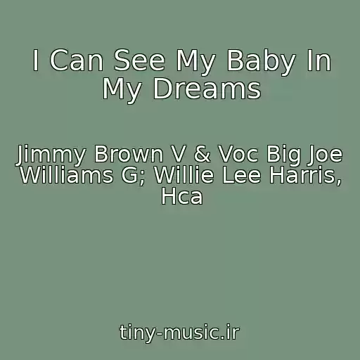 کاور آهنگ I Can See My Baby In My Dreams از Jimmy Brown V & Voc Big Joe Williams G; Willie Lee Harris, Hca