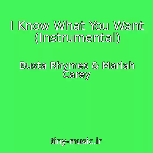 کاور آهنگ I Know What You Want (Instrumental) از Busta Rhymes & Mariah Carey