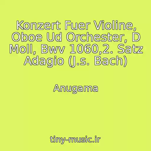 کاور آهنگ Konzert Fuer Violine, Oboe Ud Orchester, D Moll, Bwv 1060,2. Satz Adagio (J.s. Bach) از Anugama