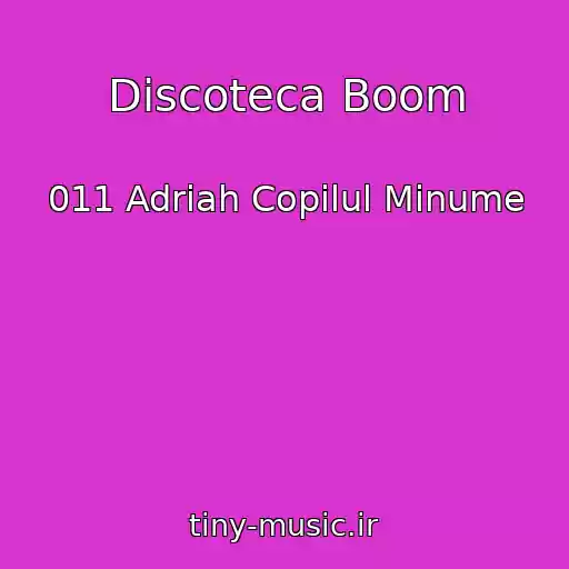 کاور آهنگ Discoteca Boom از 011 Adriah Copilul Minume