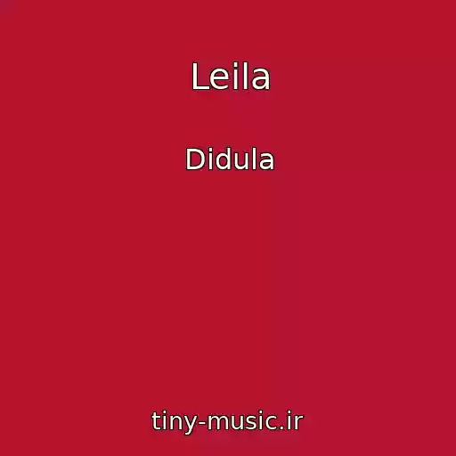 کاور آهنگ Leila از Didula