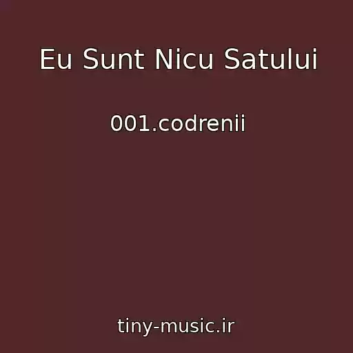 کاور آهنگ Eu Sunt Nicu Satului از 001.codrenii