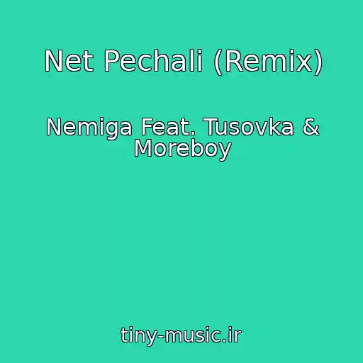 کاور آهنگ Net Pechali (Remix) از Nemiga Feat. Tusovka & Moreboy