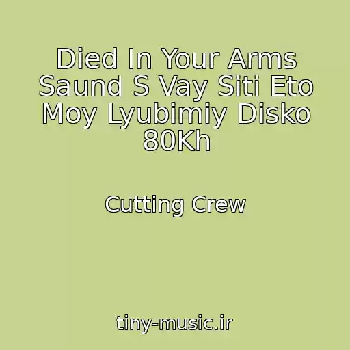 کاور آهنگ Died In Your Arms Saund S Vay Siti Eto Moy Lyubimiy Disko 80Kh از Cutting Crew