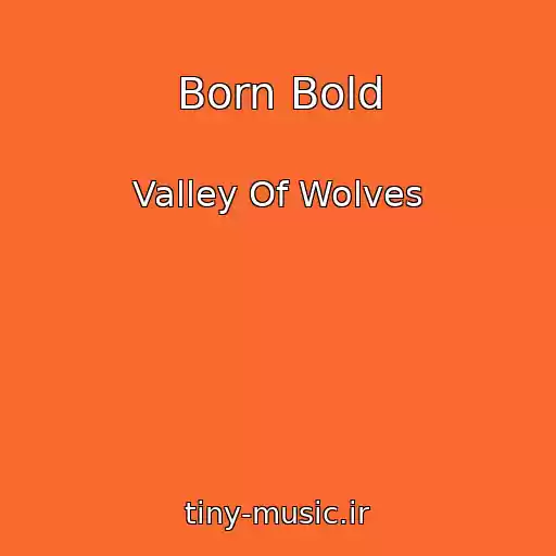 کاور آهنگ Born Bold از Valley Of Wolves